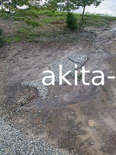 02田沢湖クニマス未来館