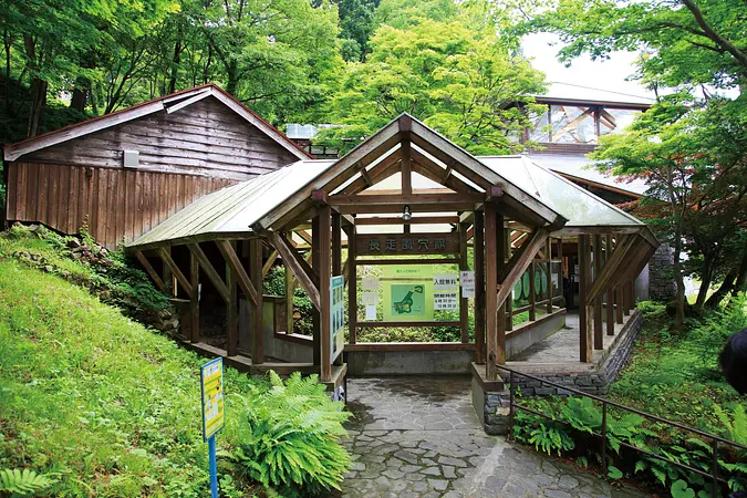 長走風穴高山植物群落