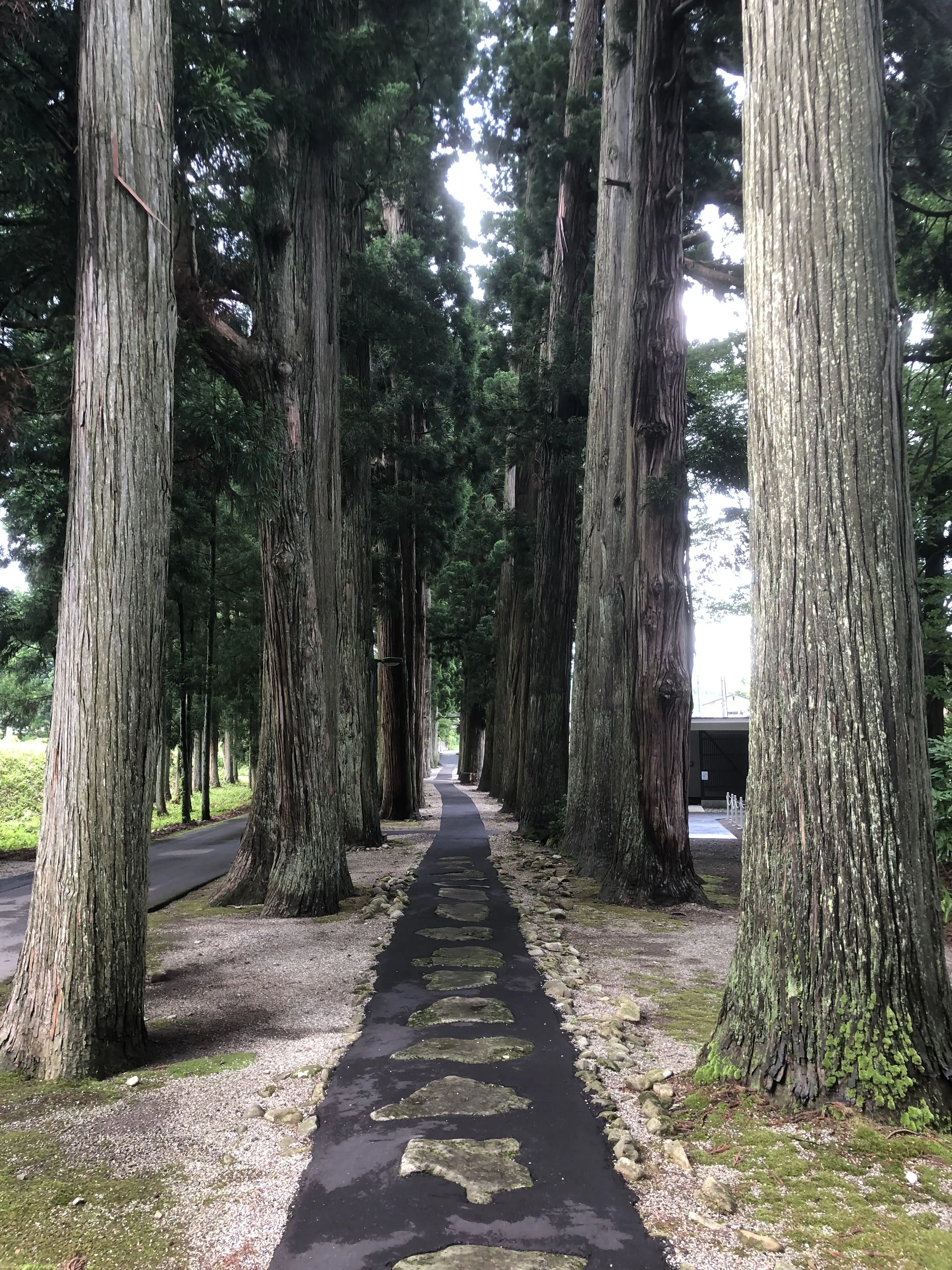 唐松神社