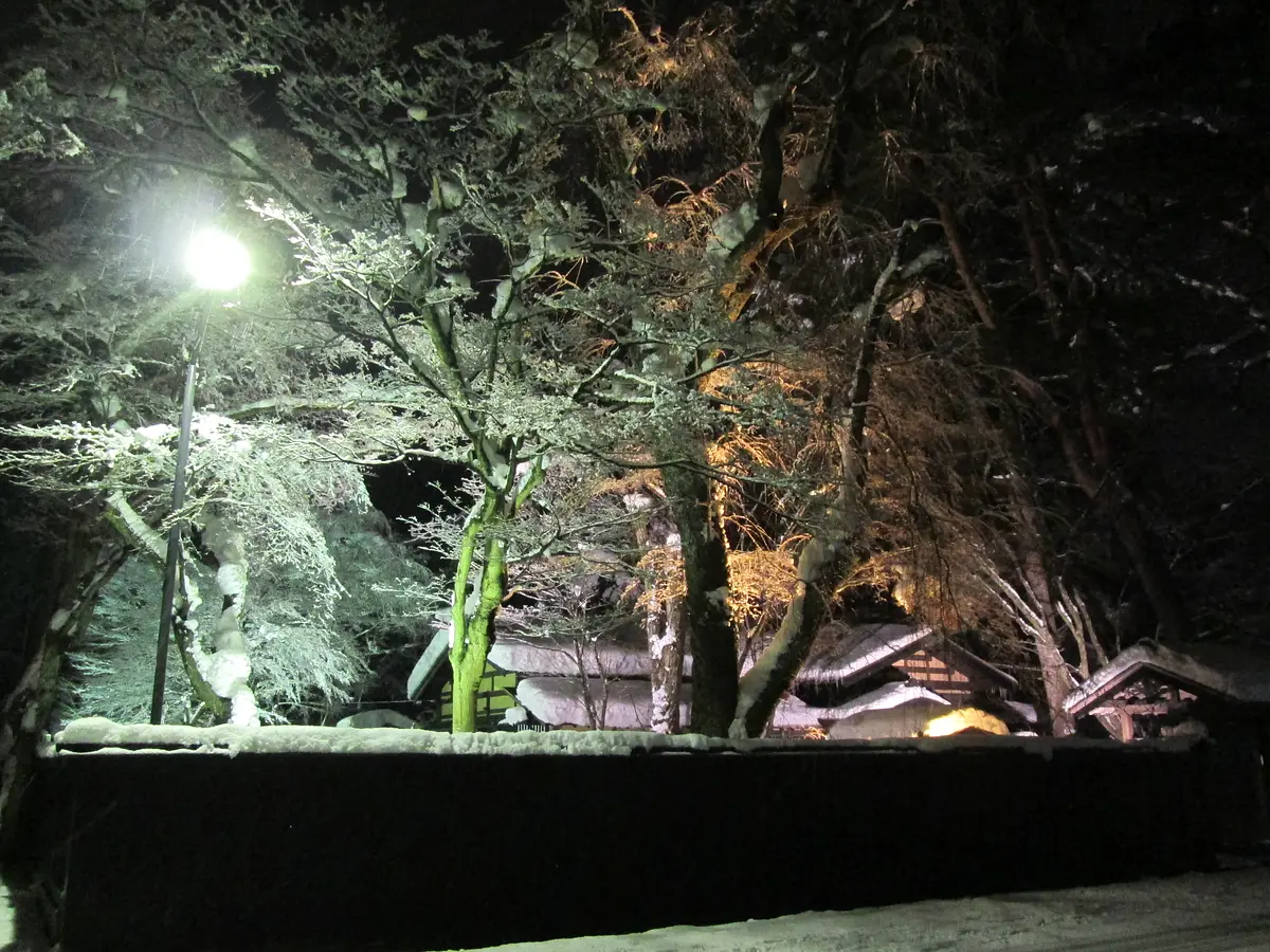 ライトアップやおすすめイベントご紹介！雪が降るから、寒いからこそ楽しめる秋田の旅 | ブランニューアキタ | アキタファン