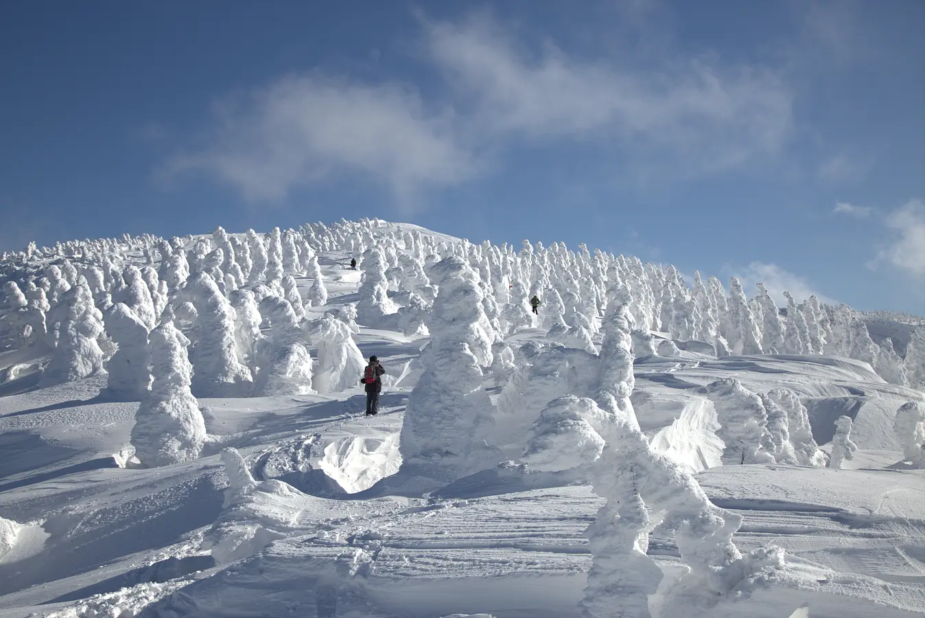 森吉山の樹氷　自然が作り出した芸術・冬の絶景秋田旅 | ブランニューアキタ | アキタファン