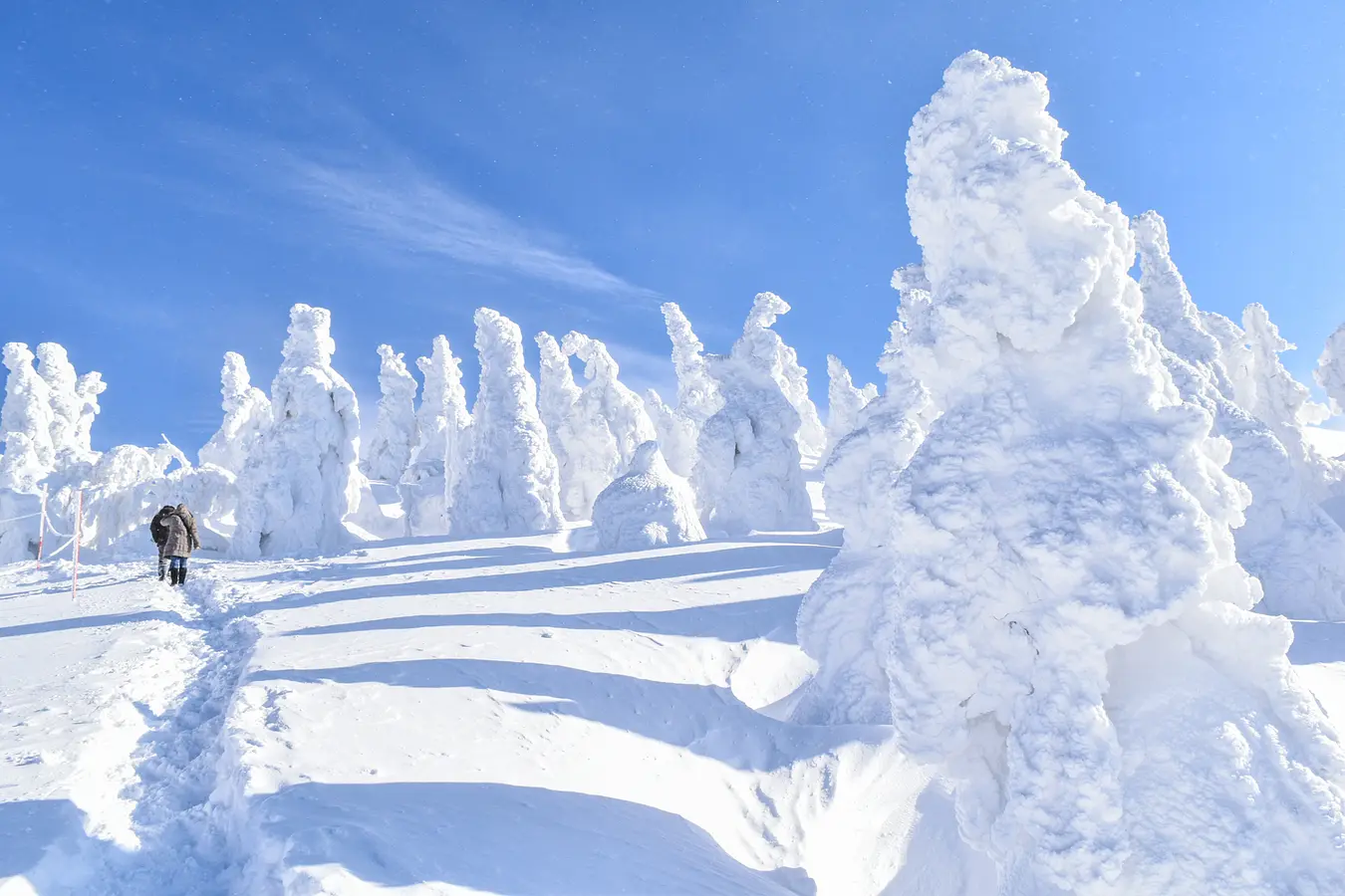 森吉山の樹氷　自然が作り出した芸術・冬の絶景秋田旅 | ブランニューアキタ | アキタファン