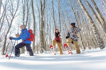 四季の楽しみ方 〜冬旅あきた〜