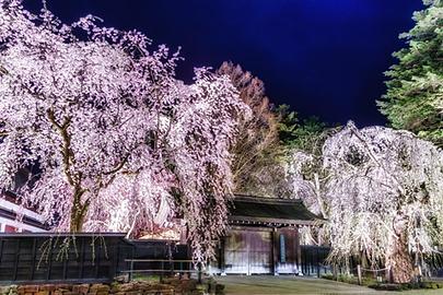 四季の楽しみ方 〜春旅あきた〜