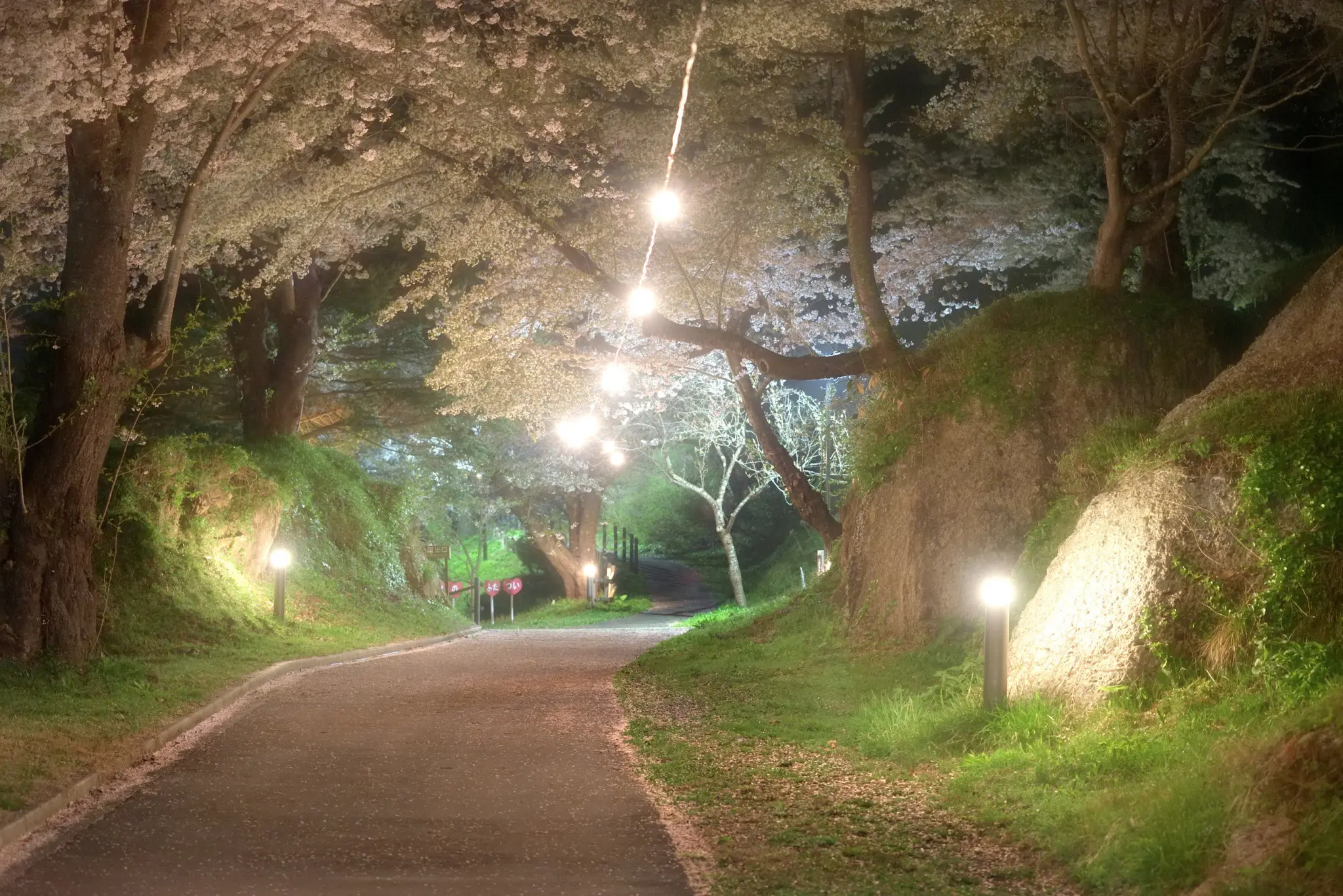 きみまち阪県立自然公園