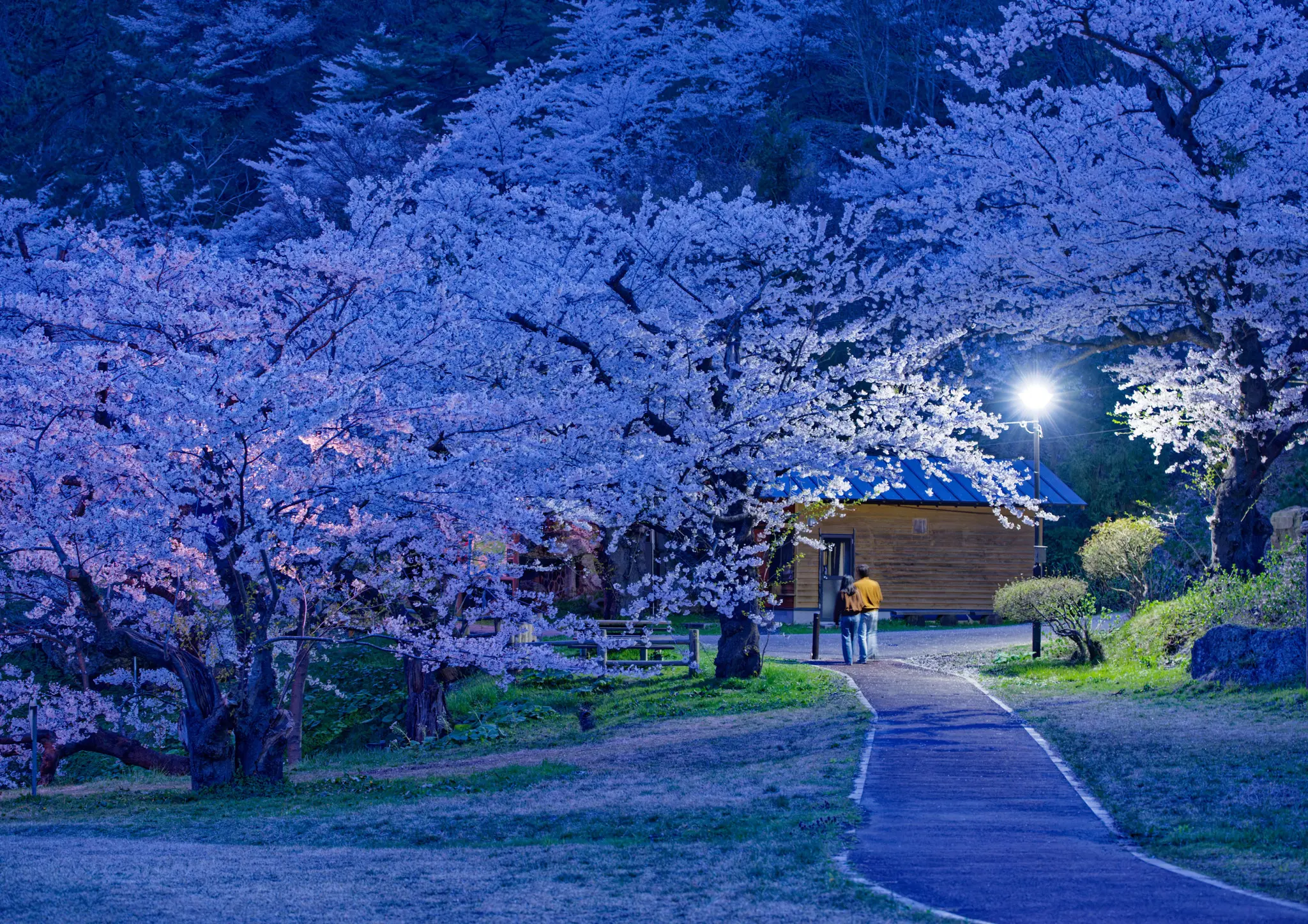 きみまち阪県立自然公園