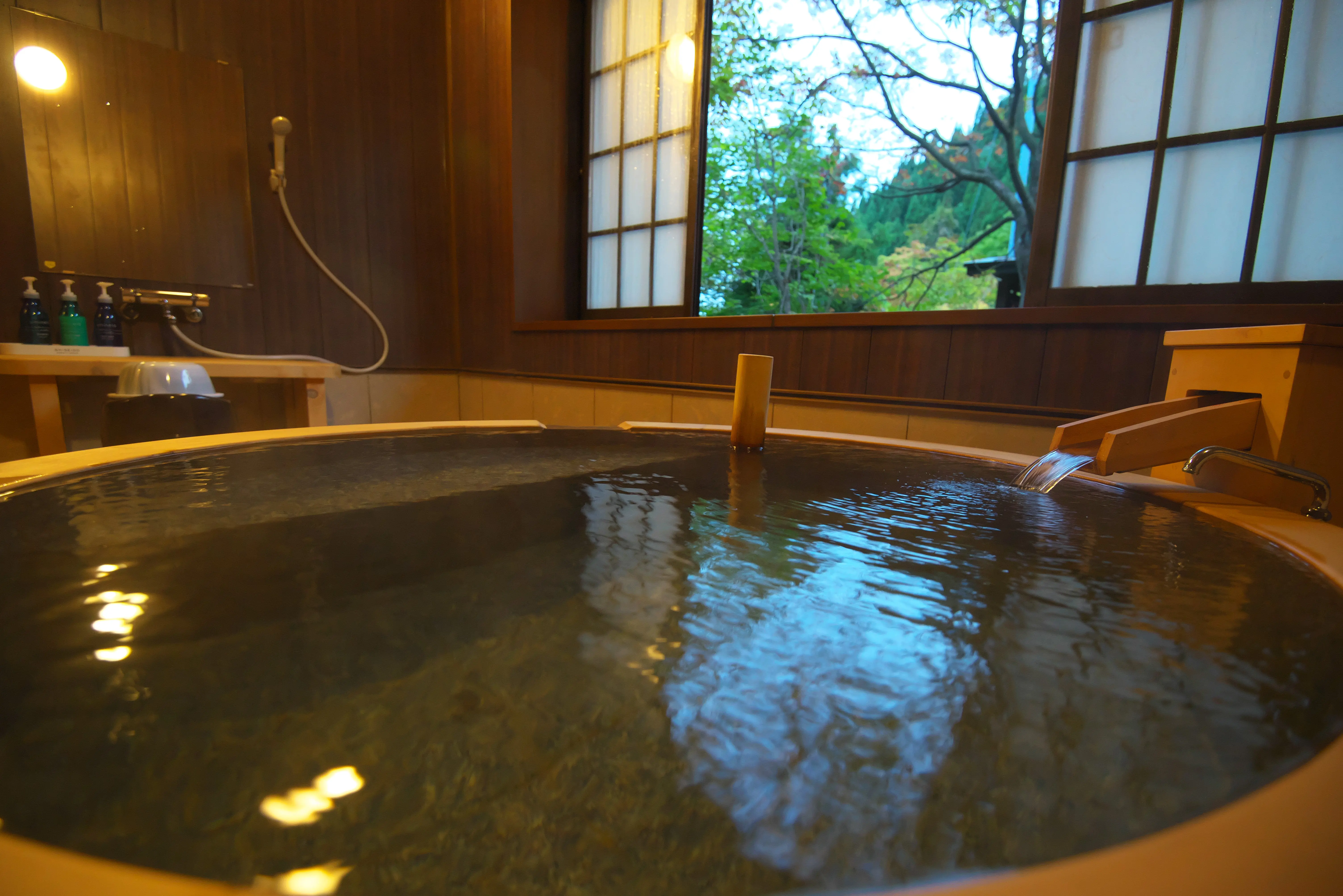 白神矢立　湯源郷の宿　日景温泉