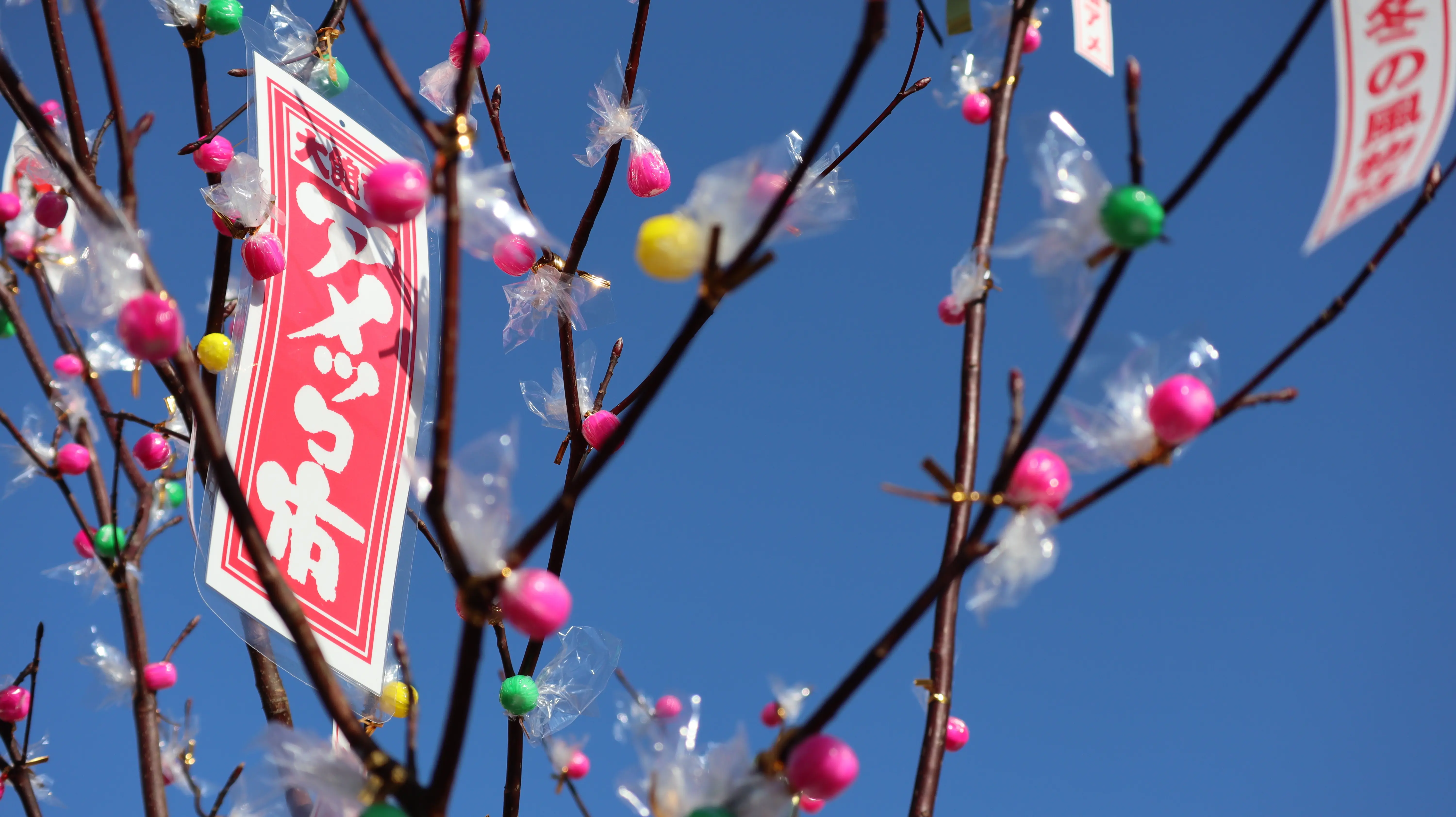 大館アメッコ市【大館市】