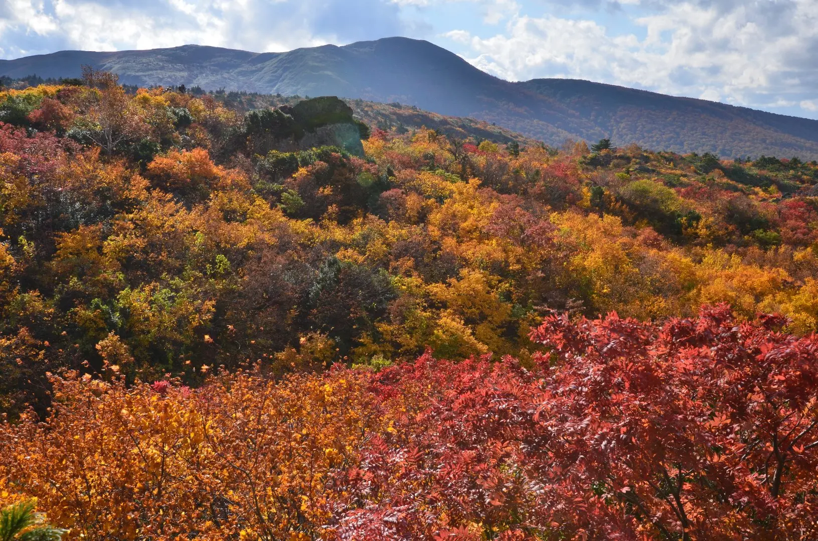 栗駒山の紅葉