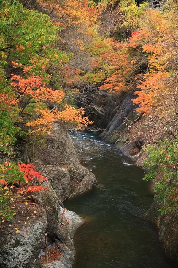 湯瀬渓谷の紅葉