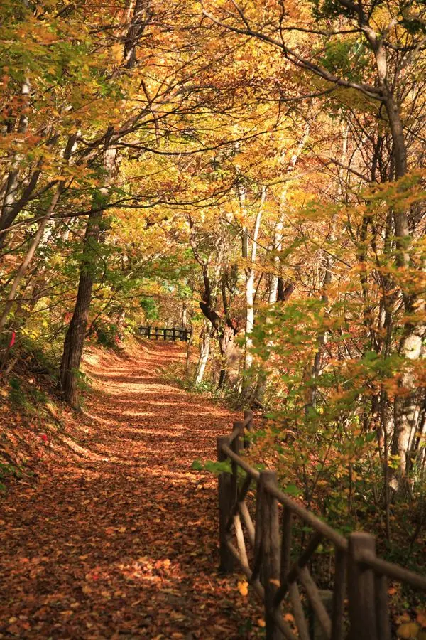 湯瀬渓谷の紅葉