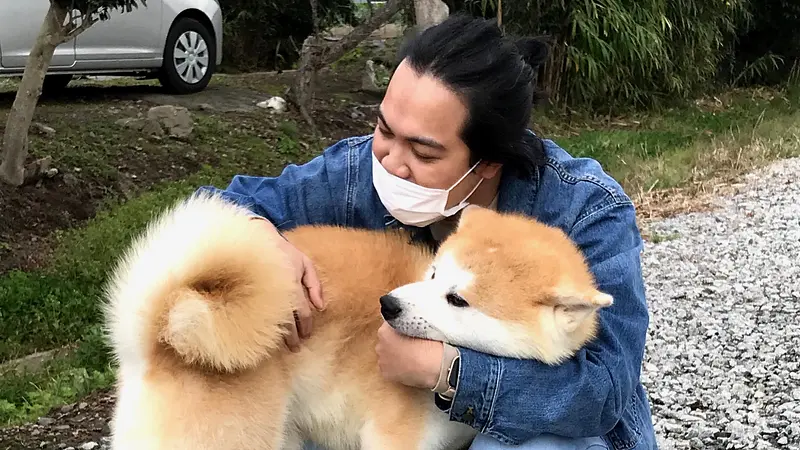 秋田犬ふれあい体験（能代幸寿荘）