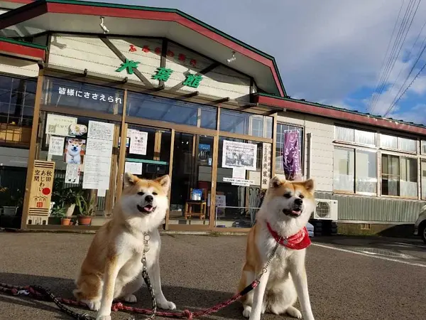 ふるさわおんせん