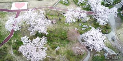 きみまち阪県立自然公園