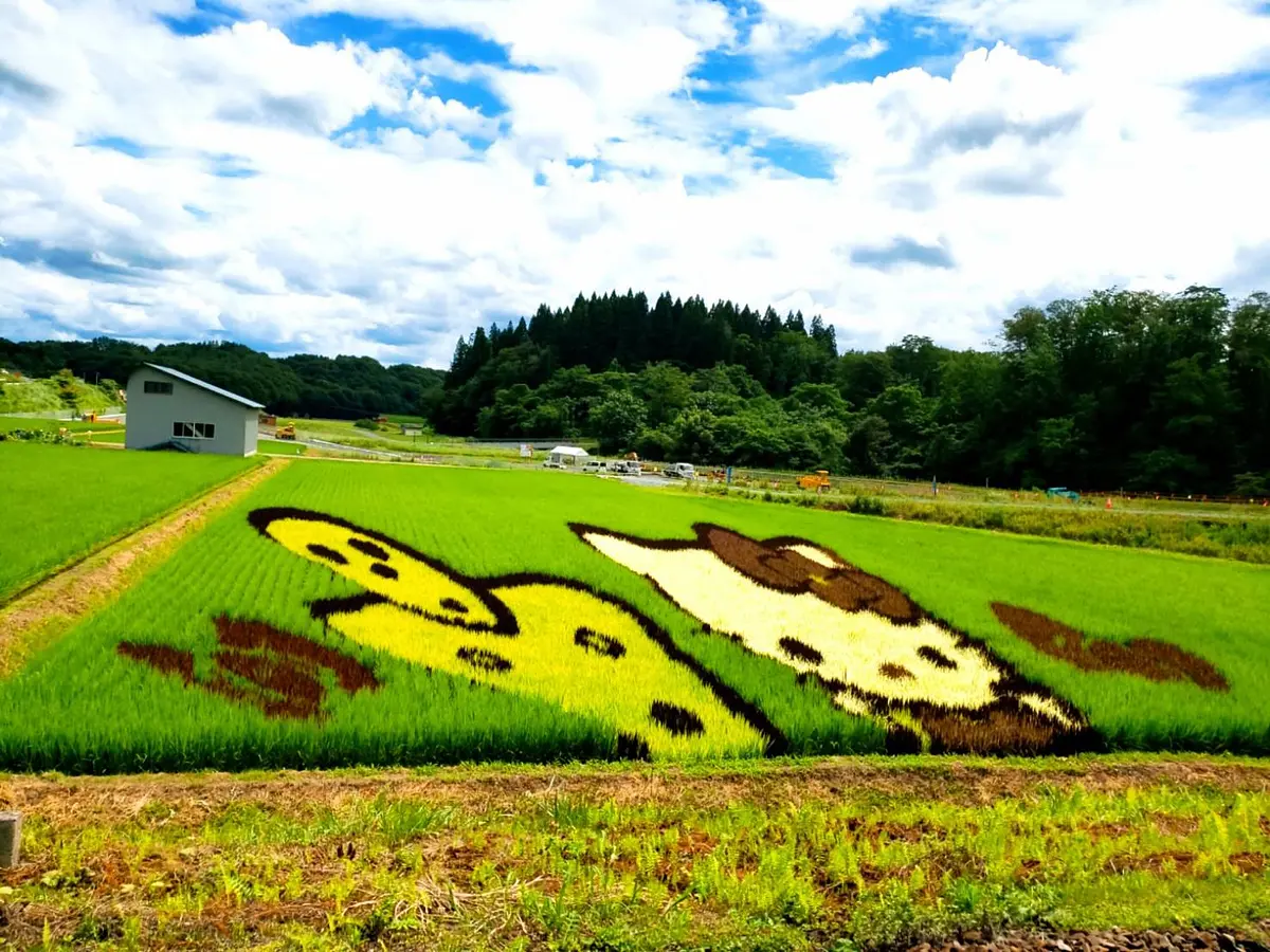 人・文化・思いを乗せる。ローカル列車・秋田縄文号で世界遺産登録を目指す縄文遺跡へ！！ | ブランニューアキタ | アキタファン