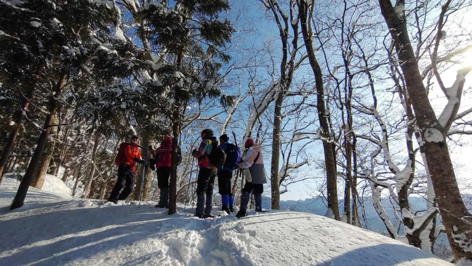 【秋田・白神山地】森のプロがご案内・白神スノートレッキング！雪のブナたちの息吹を見る