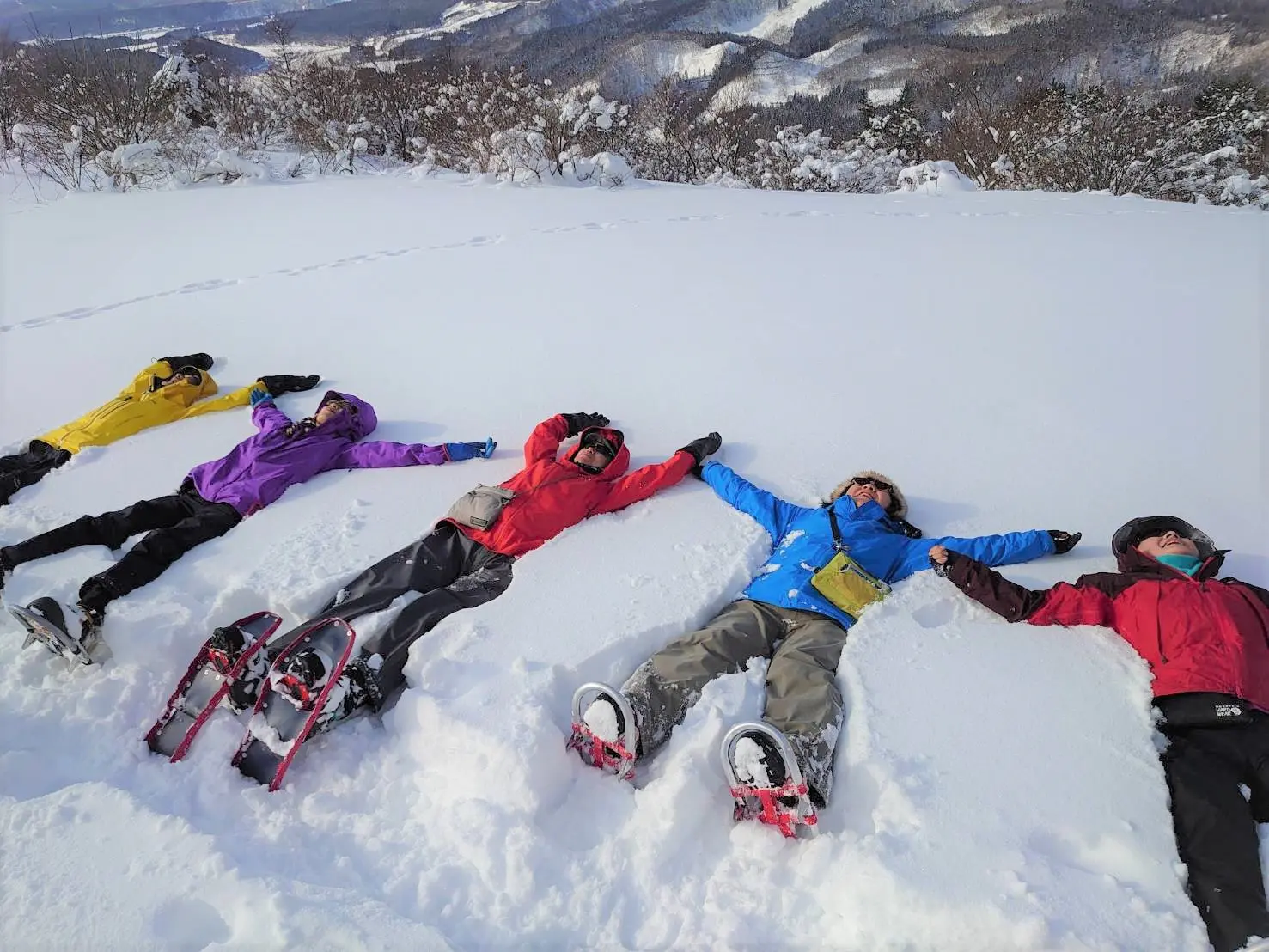 【秋田・白神山地】森のプロがご案内・白神スノートレッキング！雪のブナたちの息吹を見る