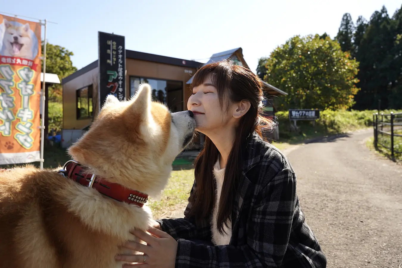 秋田犬ファンの夢をかなえるアクティビティを親子で体験！ | ブランニューアキタ | アキタファン