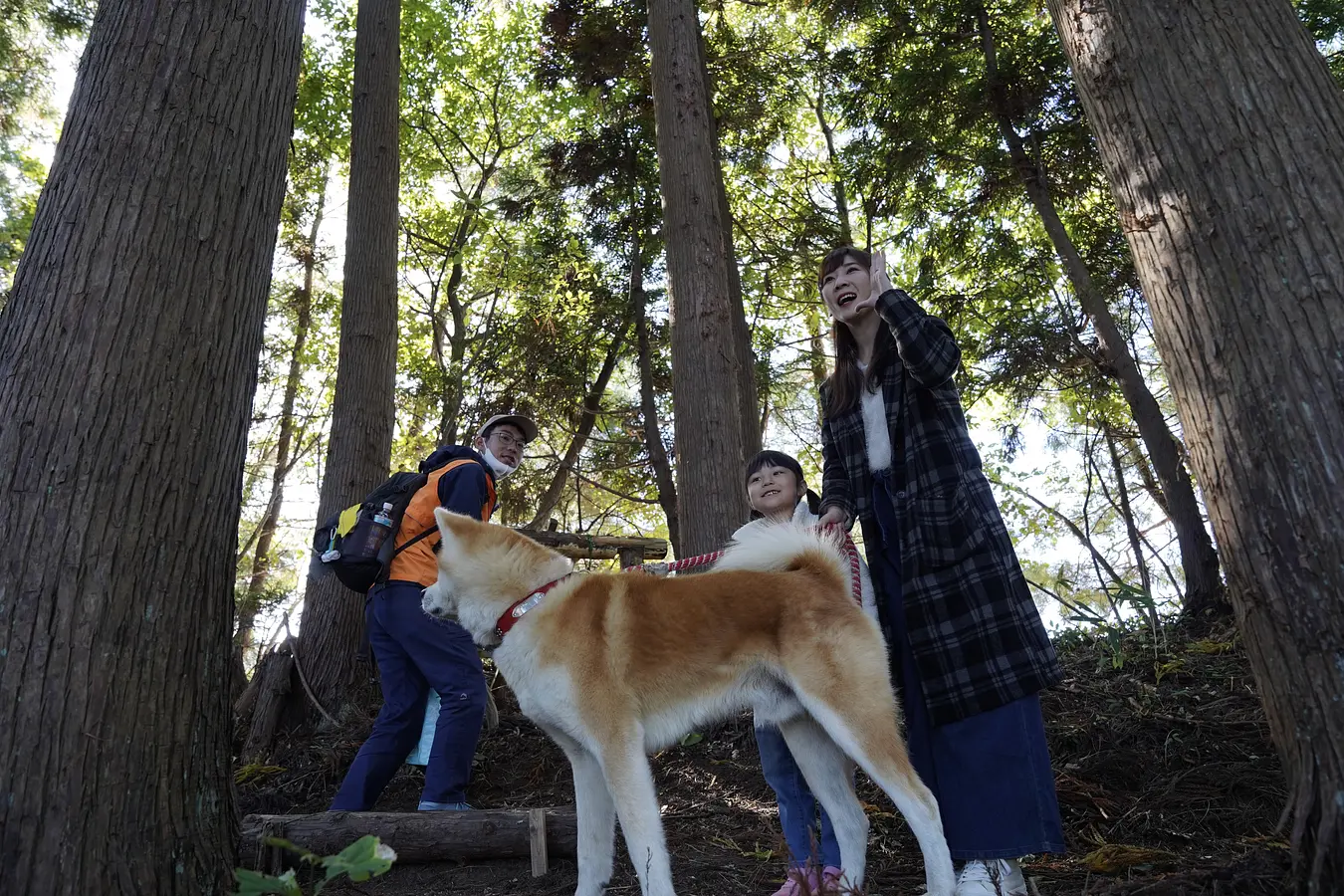 秋田犬ファンの夢をかなえるアクティビティを親子で体験！ | ブランニューアキタ | アキタファン