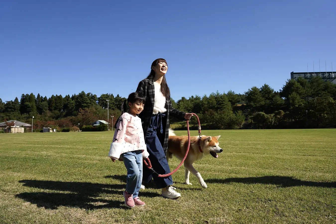 秋田犬ファンの夢をかなえるアクティビティを親子で体験！ | ブランニューアキタ | アキタファン