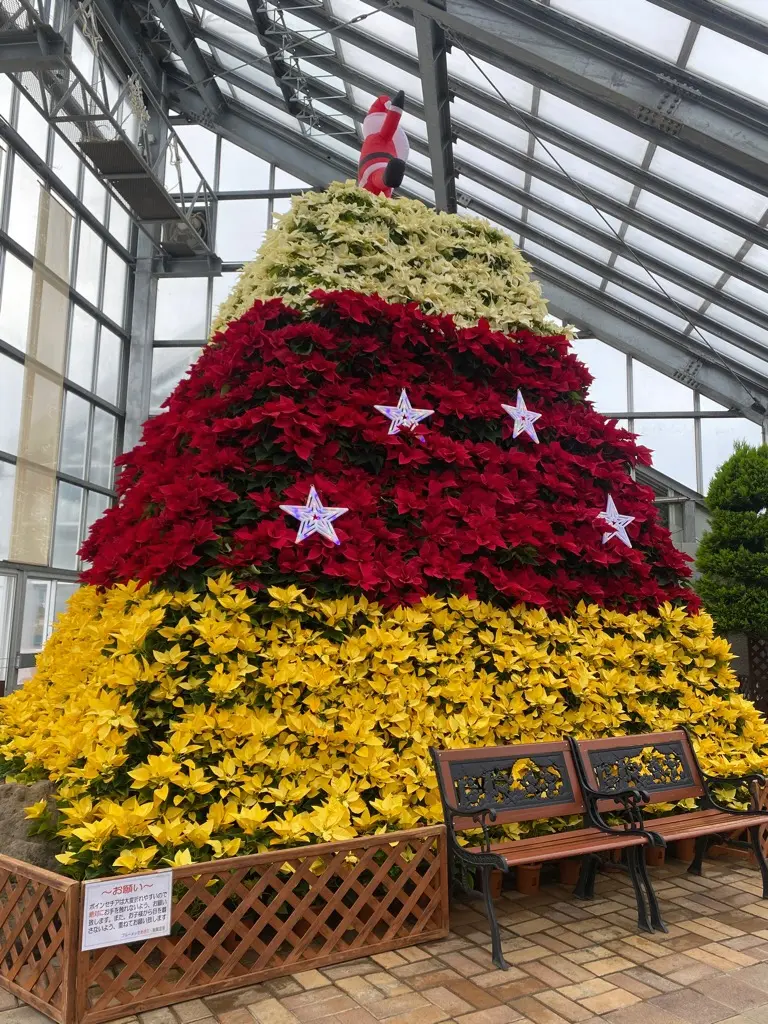 道の駅しょうわ ブルーメッセあきた クリスマスフェスタ、蘭フェア＆花の祭典【潟上市】