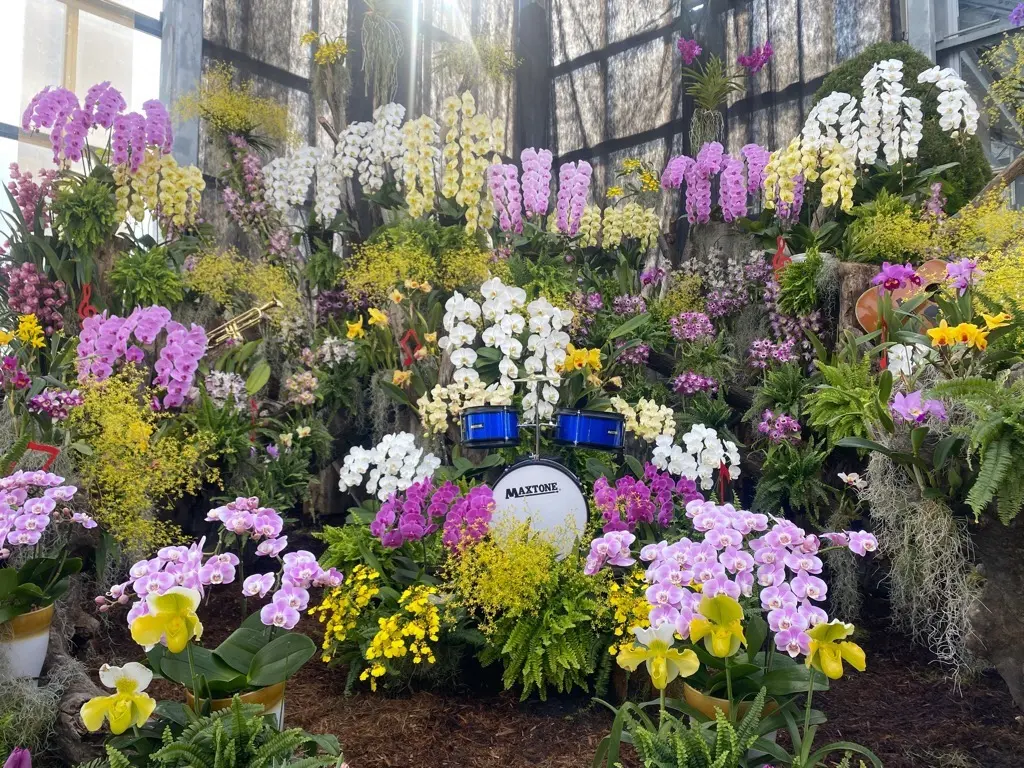 道の駅しょうわ ブルーメッセあきた クリスマスフェスタ、蘭フェア＆花の祭典【潟上市】