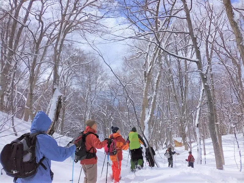 【秋田・藤里町・スノーシュー】白神山地の麓でスノートレッキング！えらべるランチ付き♪