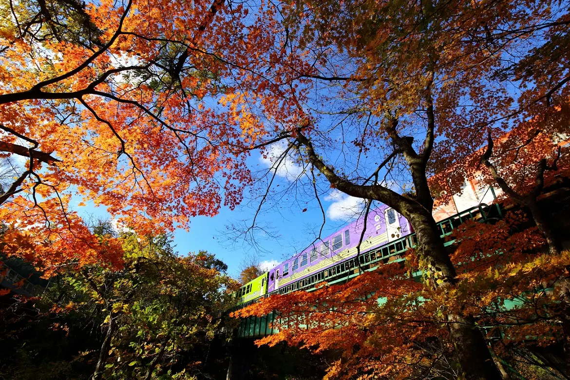 秋田内陸縦貫鉄道