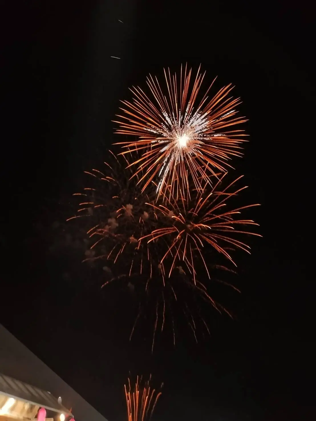 第18回楢岡さなぶり酒花火