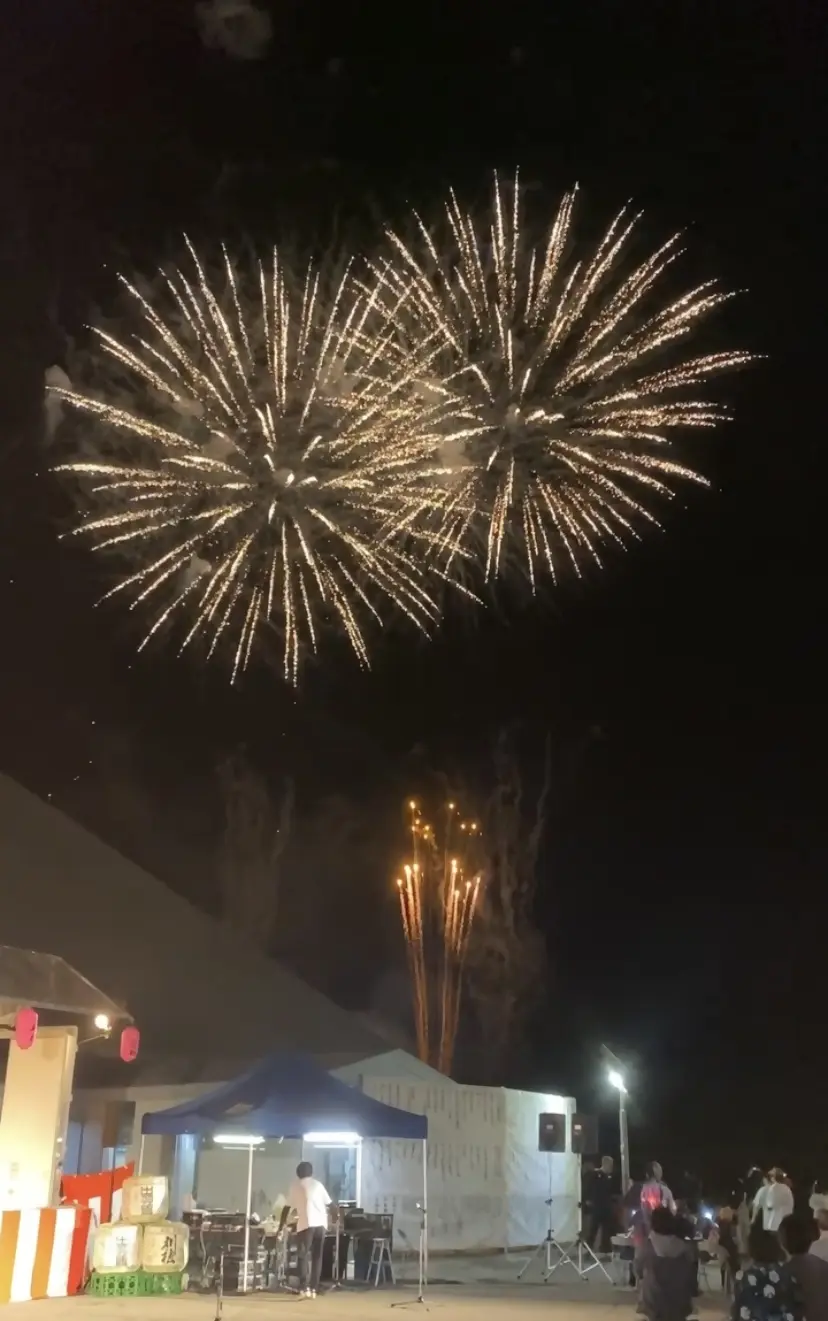 第18回楢岡さなぶり酒花火