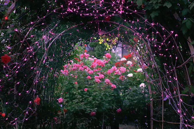花の名所特集～春編～秋田のおすすめ花めぐり