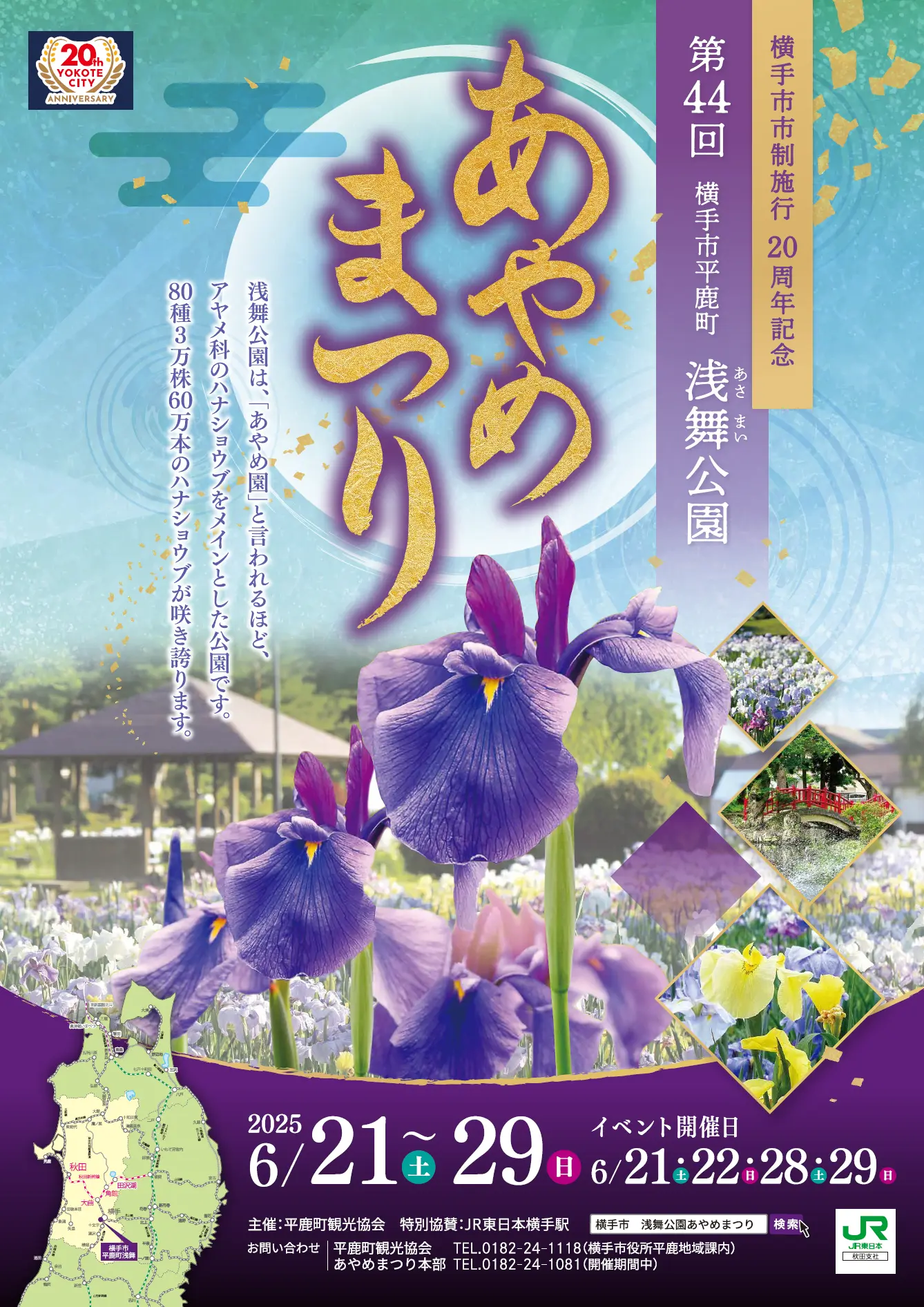 第44回　浅舞公園あやめまつり【横手市】