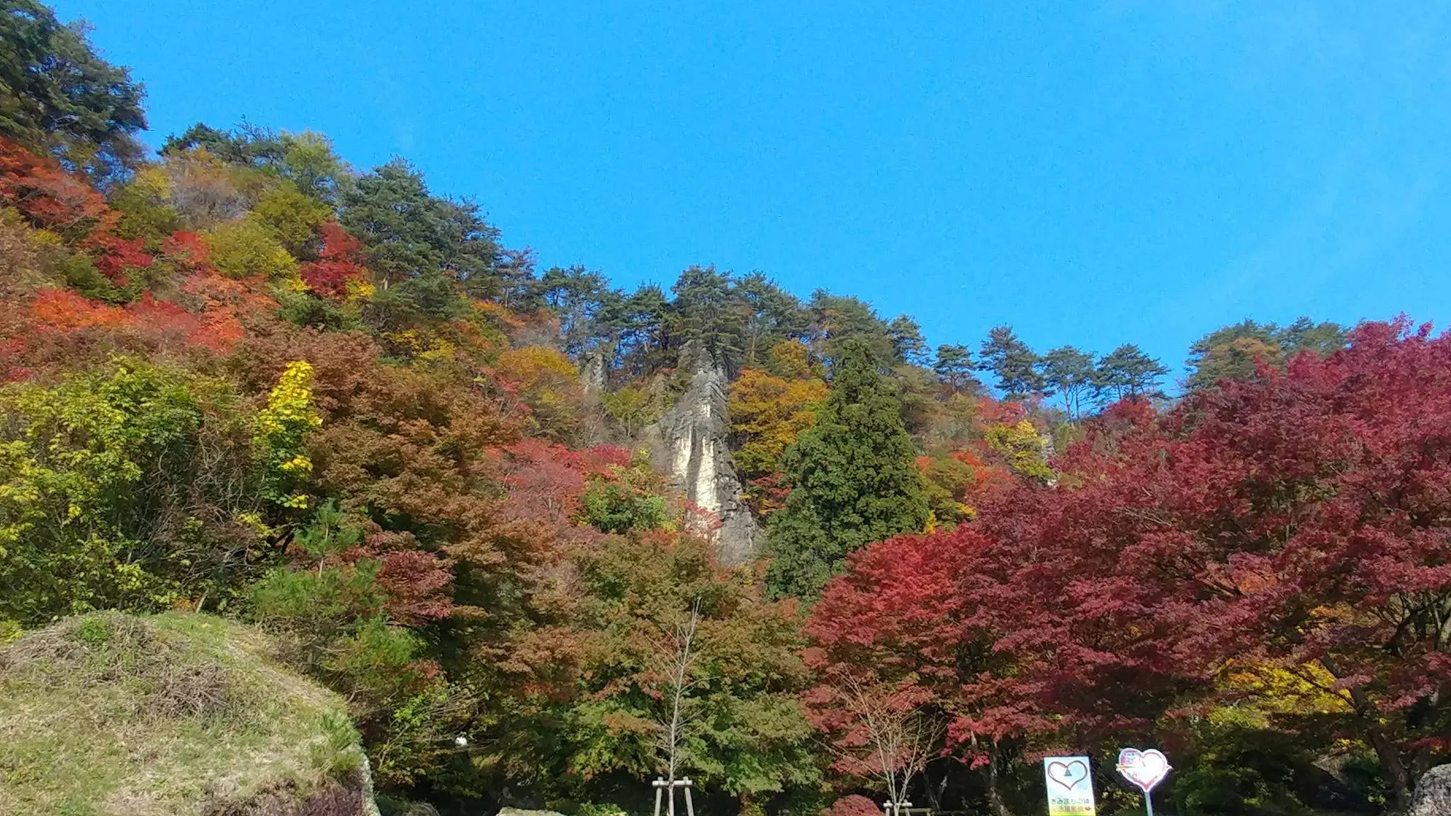 きみまち阪公園の紅葉