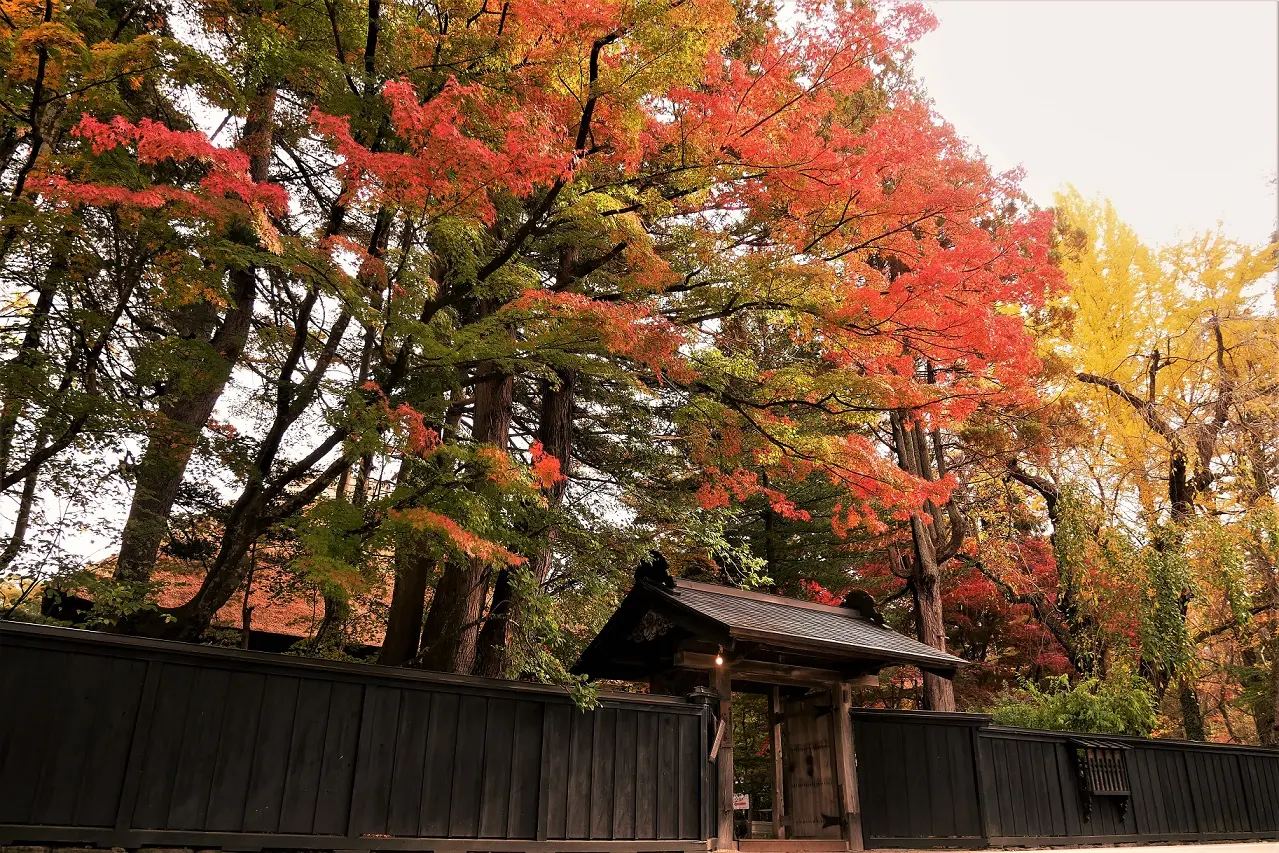 角館の武家屋敷通りの紅葉