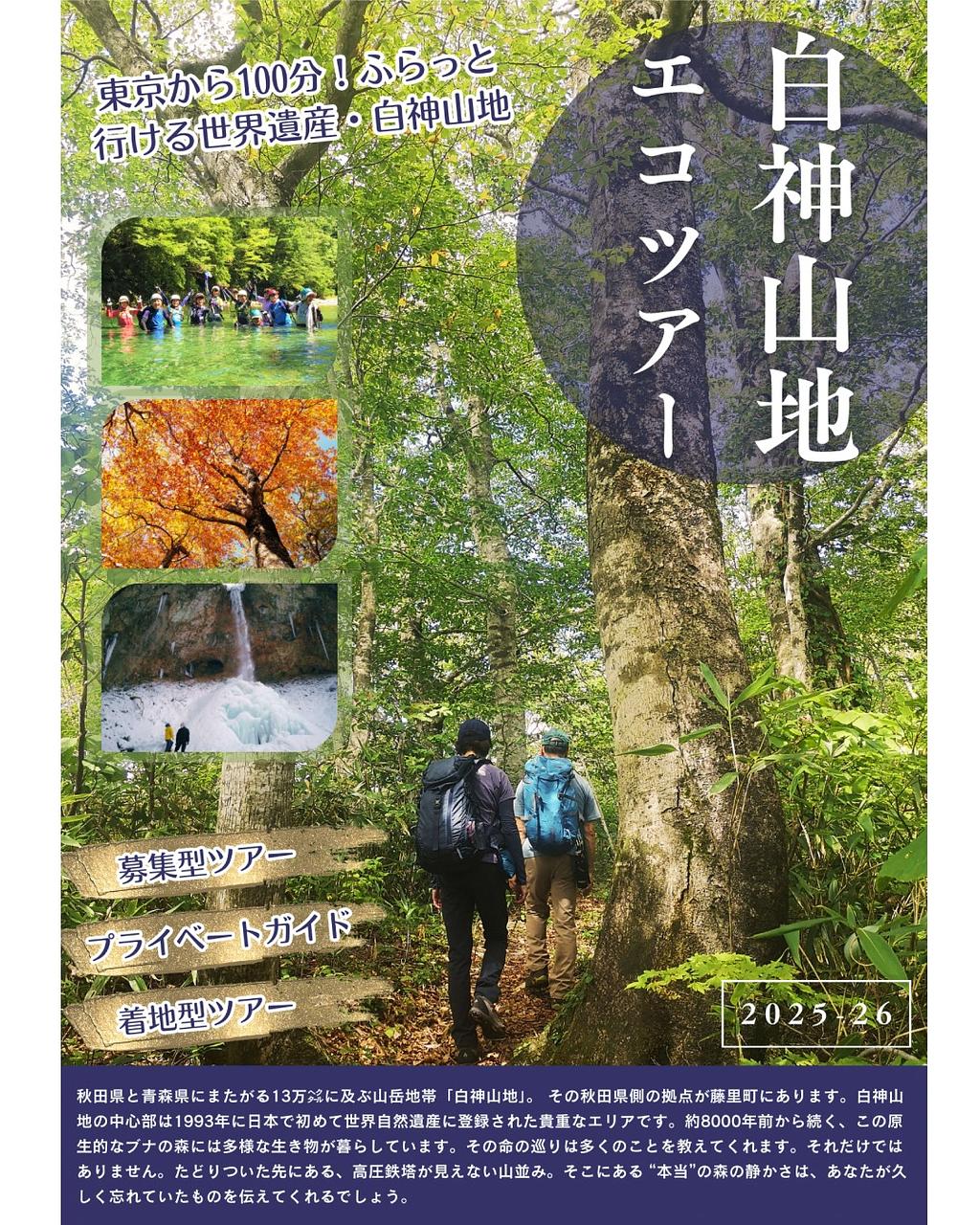 世界遺産白神山地エコツアー【藤里町】
