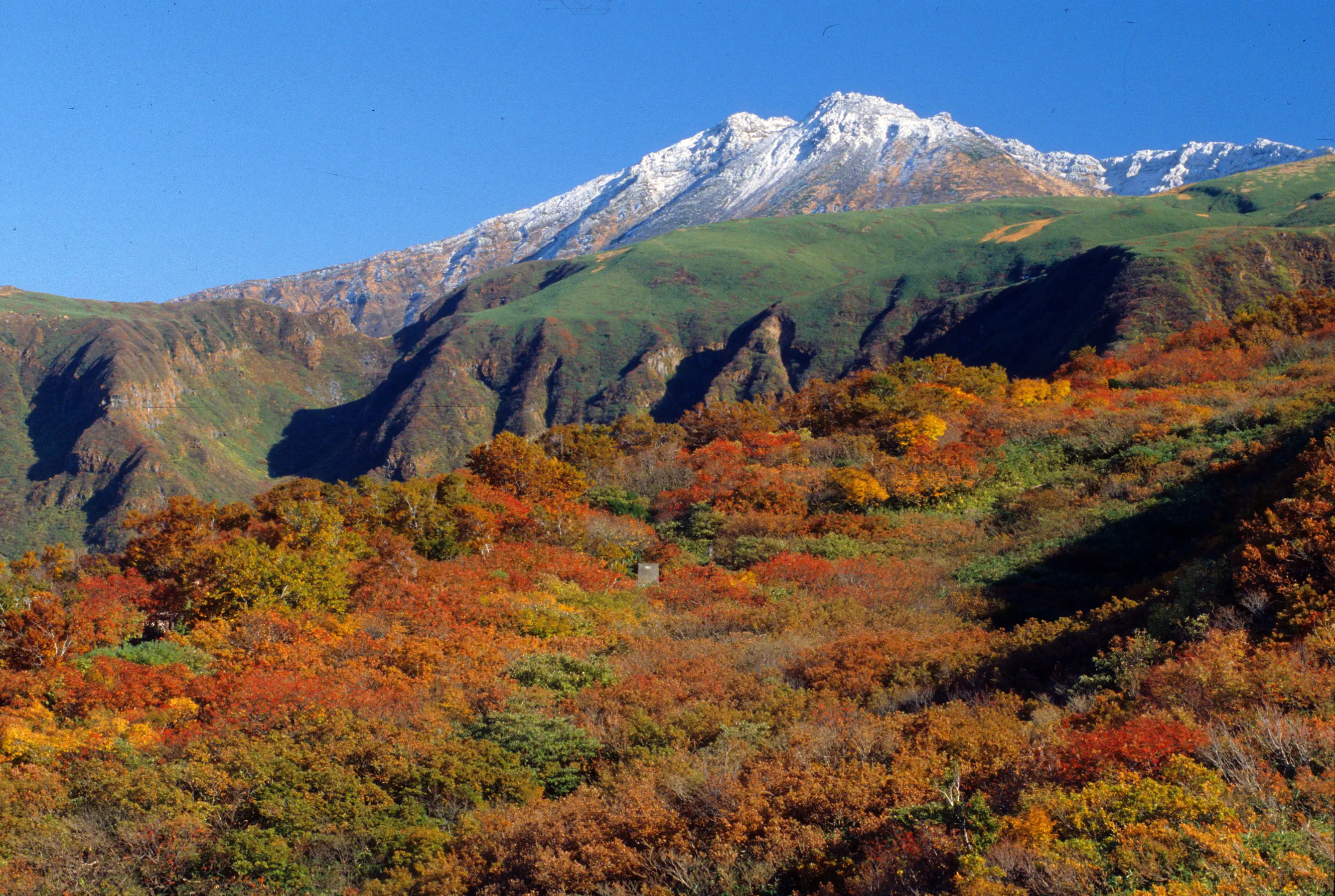 鳥海山鉾立の紅葉