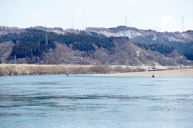 米代川水系サクラマス釣り