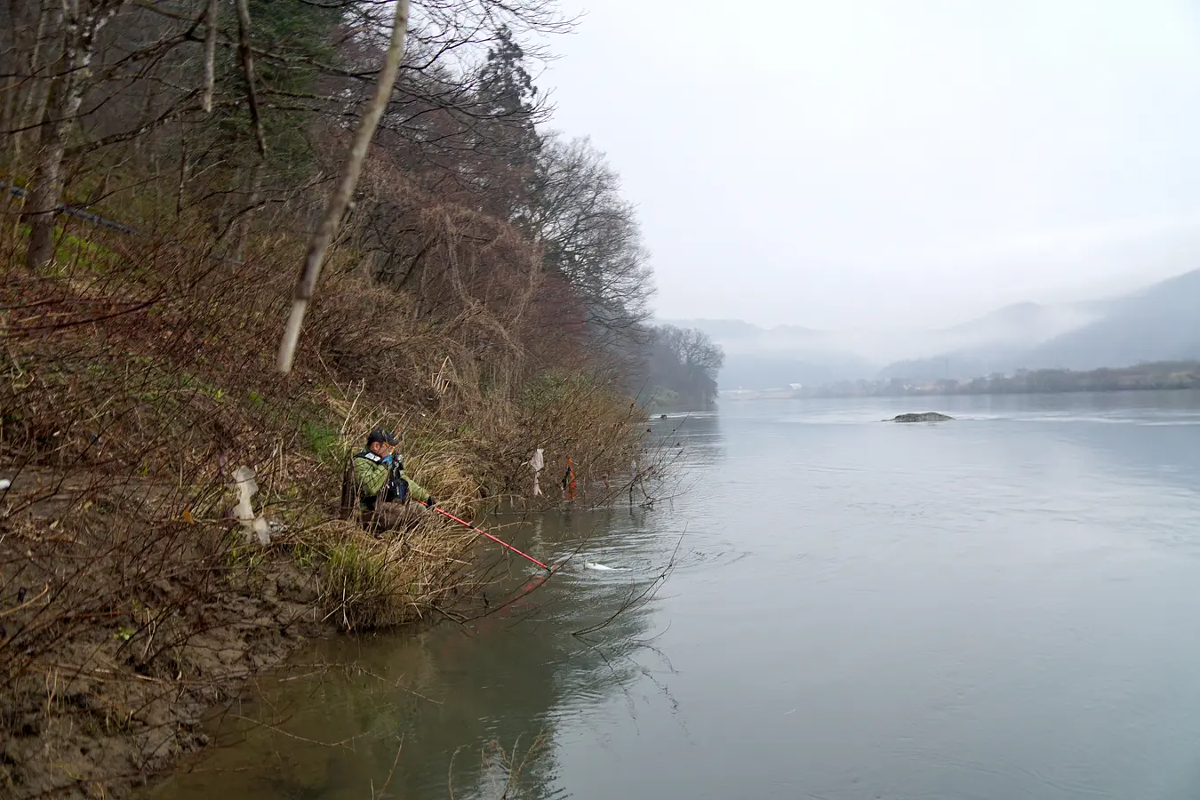 米代川水系サクラマス釣り