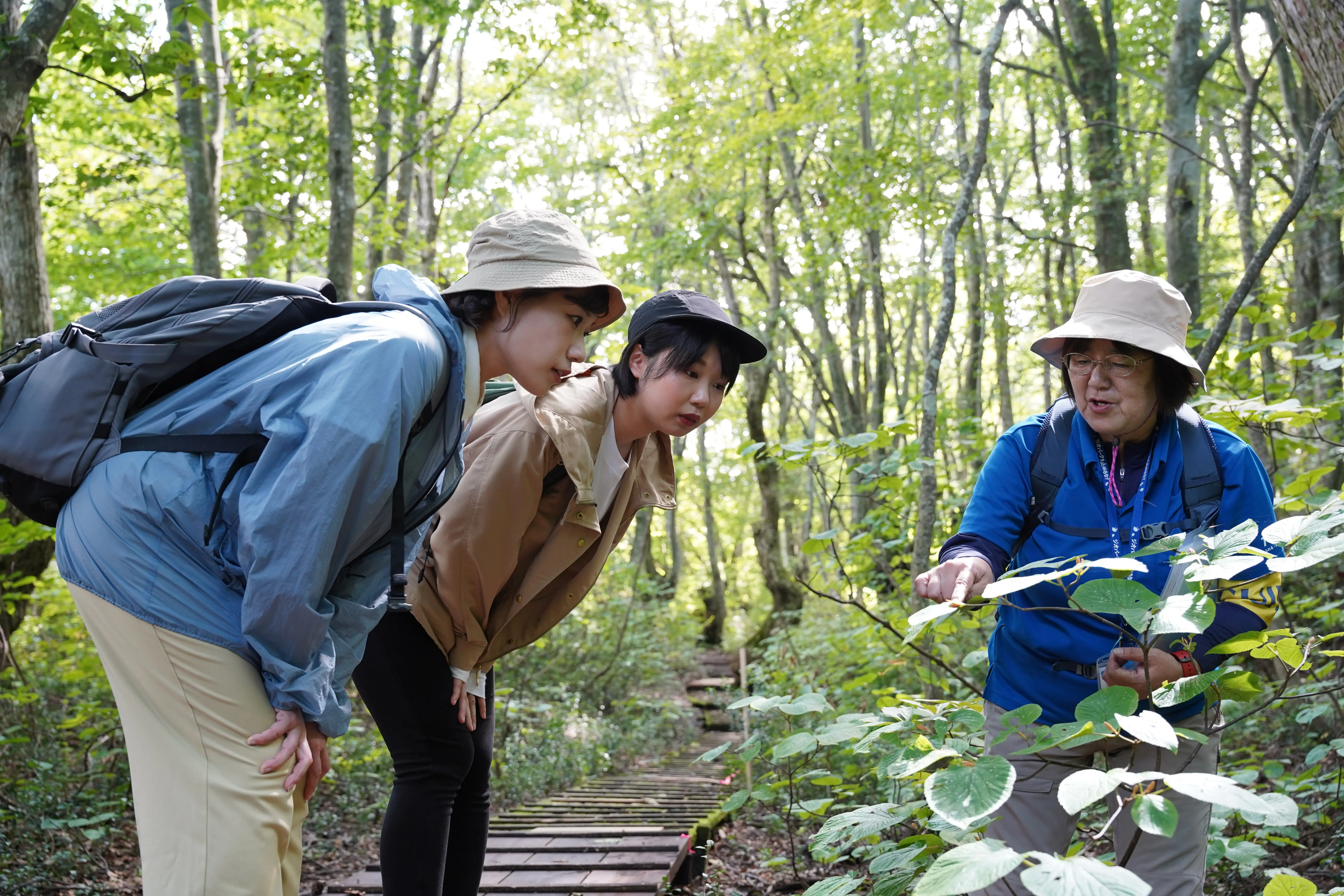 鳥海山獅子ヶ鼻湿原（ちょうかいさんししがはなしつげん）トレッキングと、99glamで過ごす非日常のご褒美ステイ