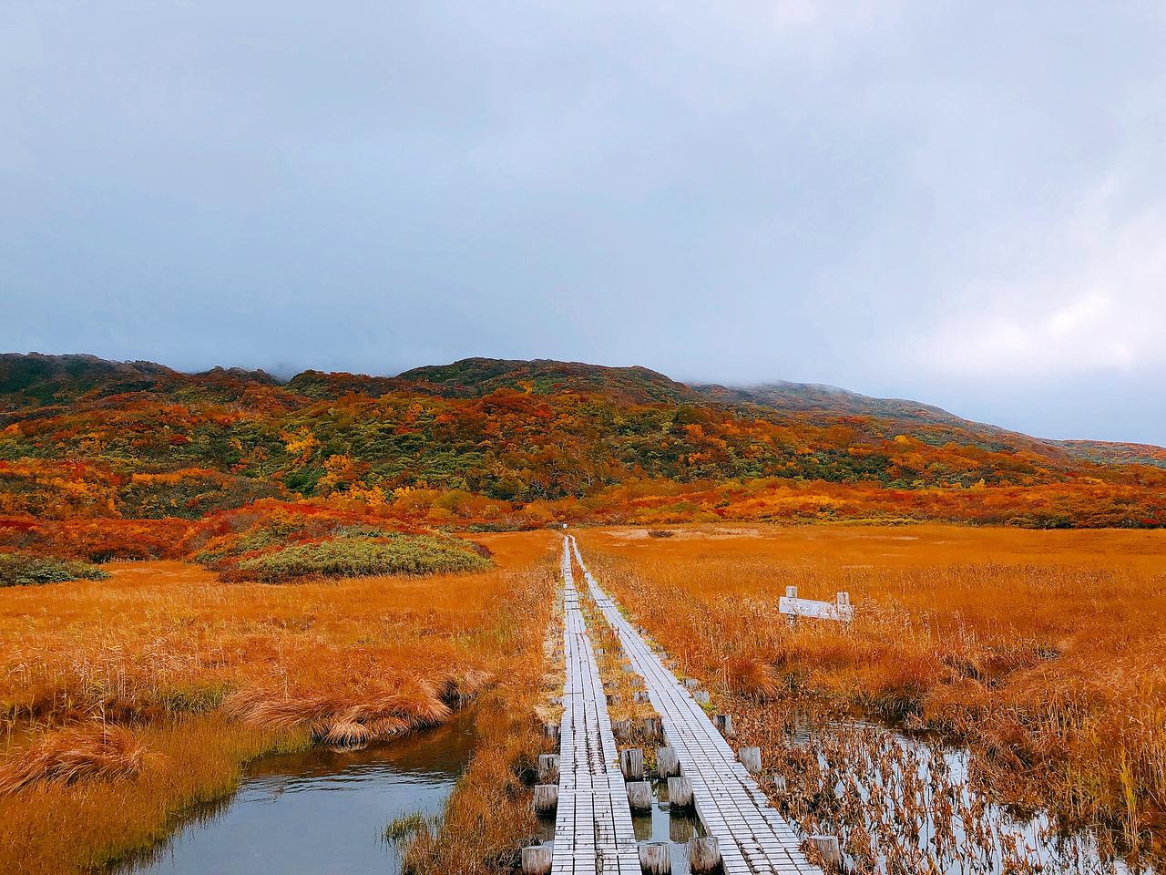 鳥海山（祓川）（秋）(2).JPG