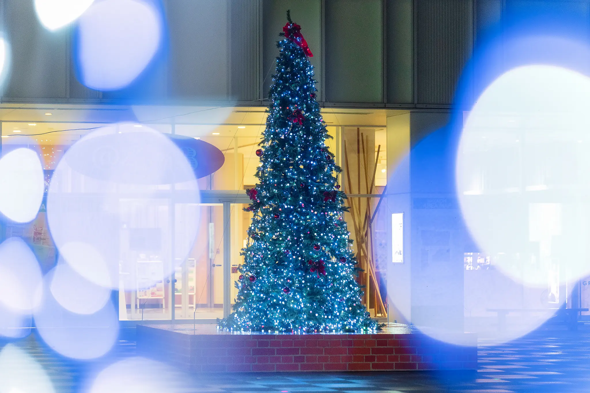 なかいちウインターパーク【秋田市】