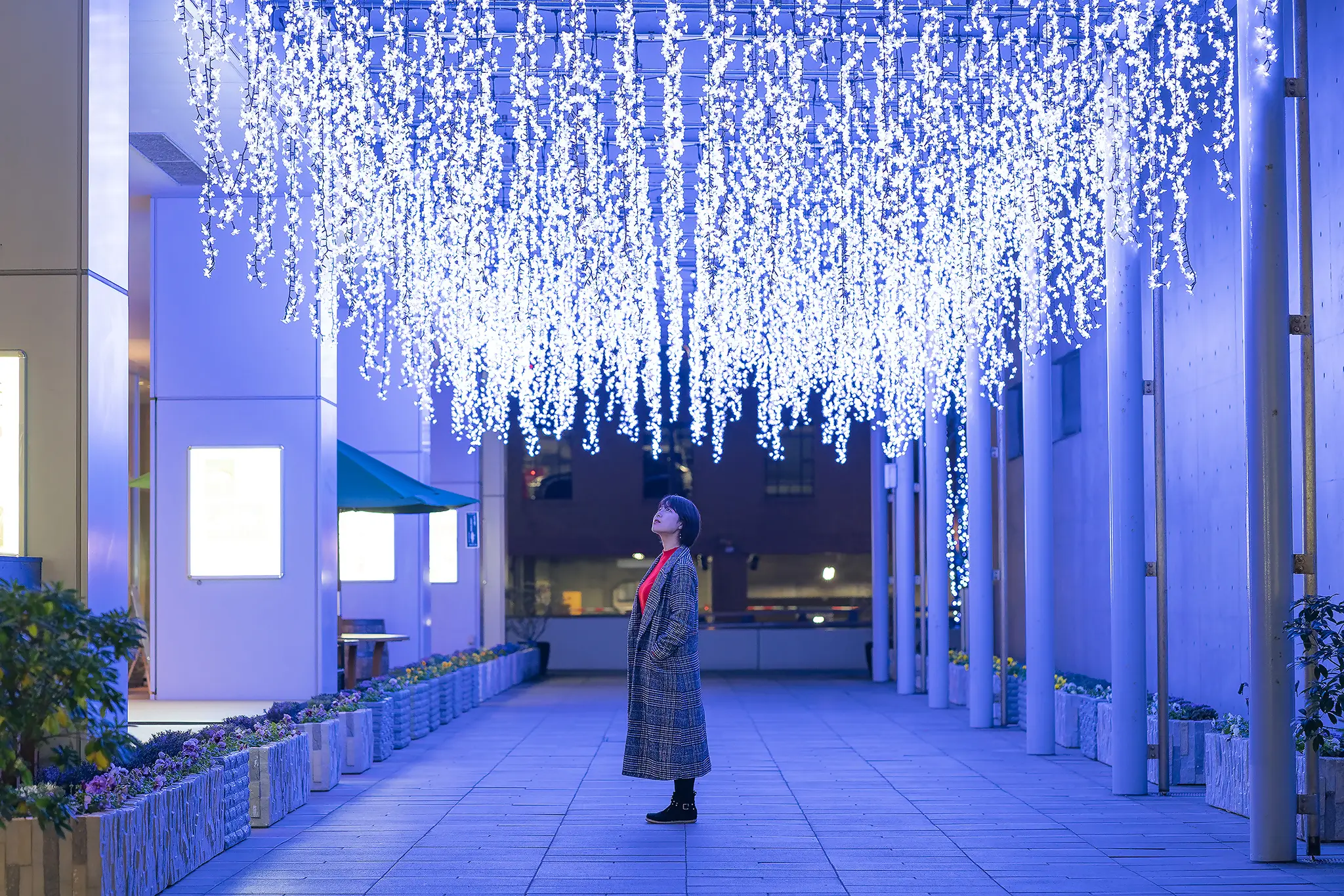 なかいちウインターパーク【秋田市】