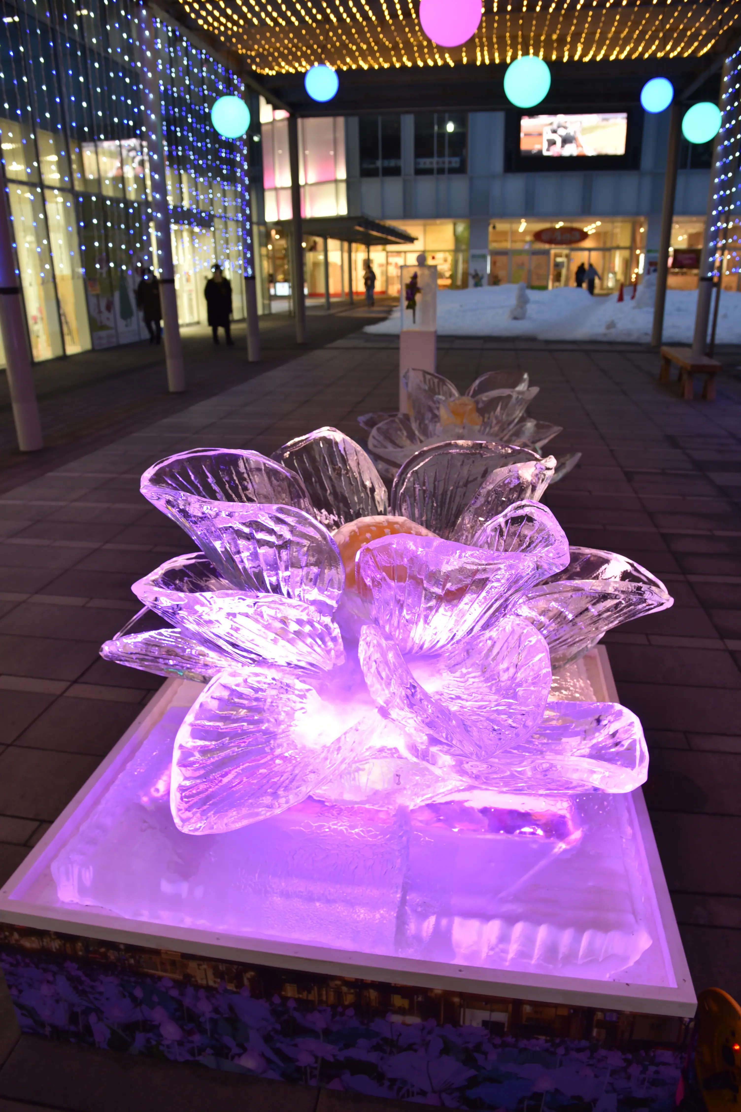 なかいちウインターパーク【秋田市】