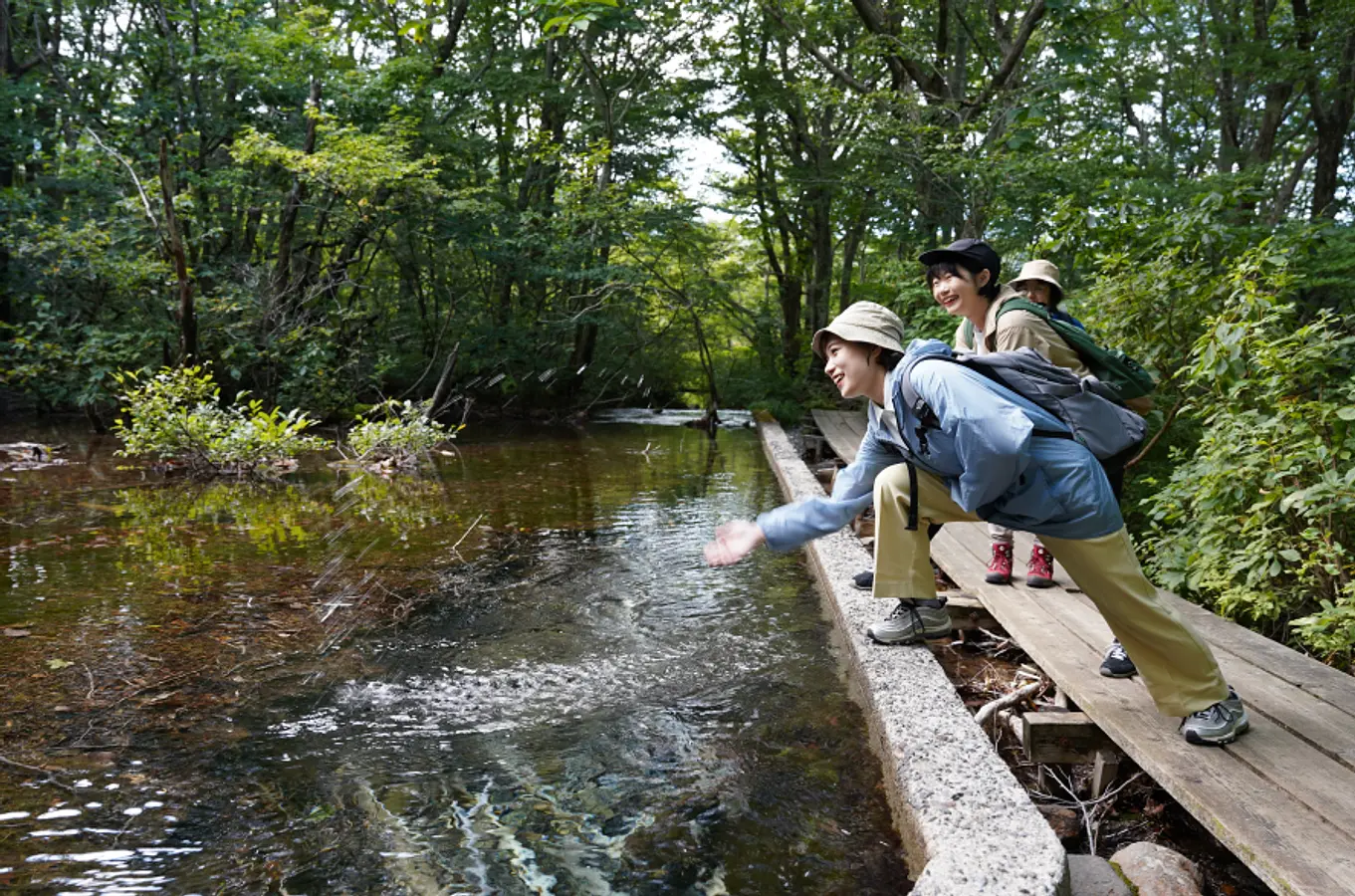 鳥海山獅子ヶ鼻湿原（ちょうかいさんししがはなしつげん）トレッキングと、99glamで過ごす非日常のご褒美ステイ | ブランニューアキタ | アキタファン