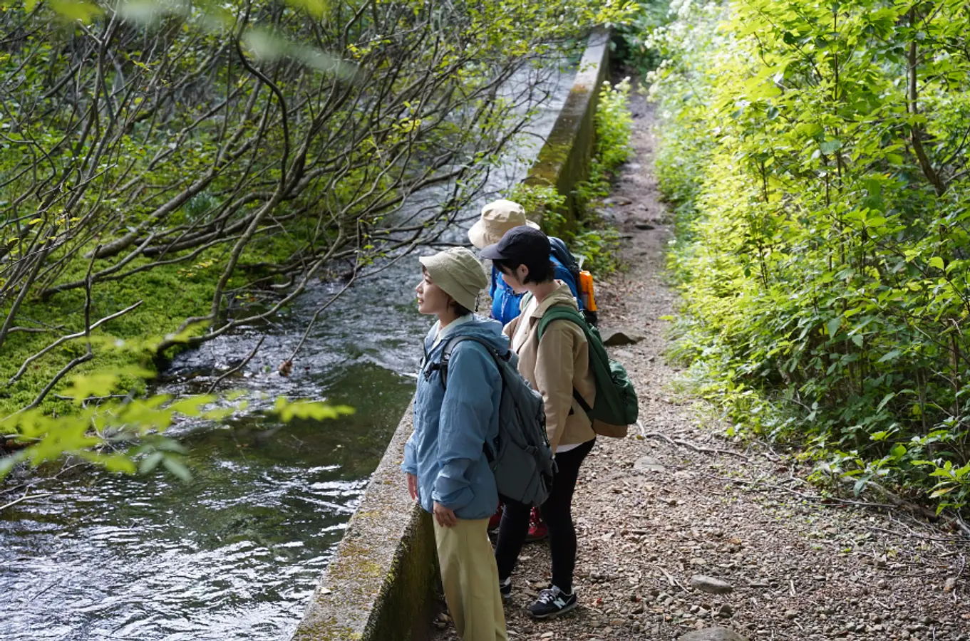 鳥海山獅子ヶ鼻湿原（ちょうかいさんししがはなしつげん）トレッキングと、99glamで過ごす非日常のご褒美ステイ | ブランニューアキタ | アキタファン