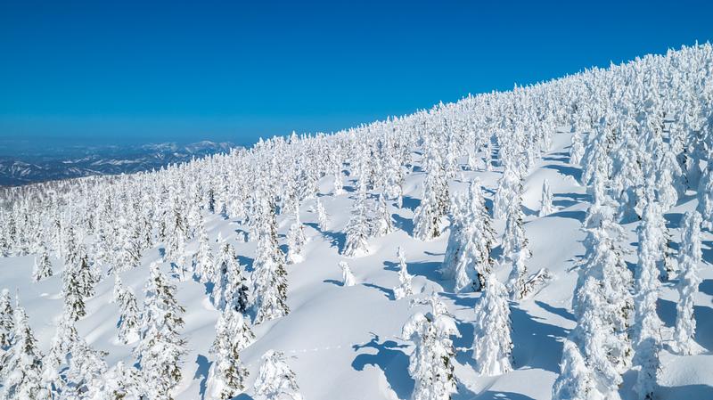 車なし　冬　三大樹氷