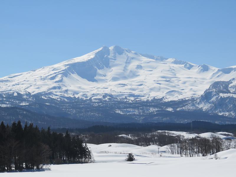 レンタカー　ファミリー