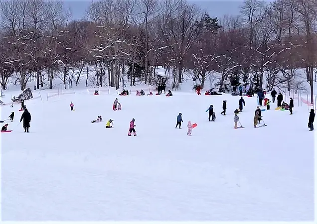 赤坂総合公園スノーパーク