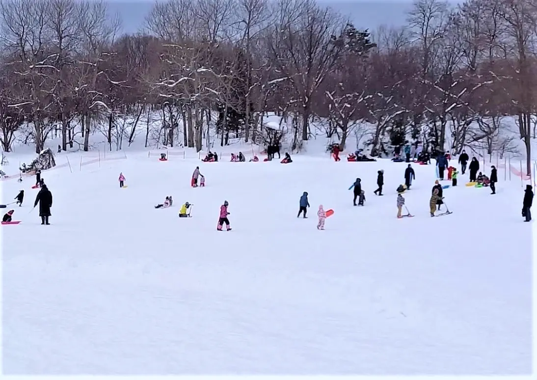 赤坂総合公園スノーパーク