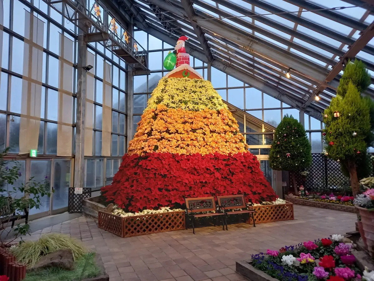 道の駅しょうわ ブルーメッセあきた クリスマスフェスタ、蘭フェア＆花の祭典【潟上市】
